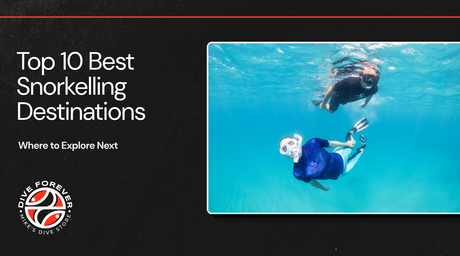 Top 10 Best Snorkelling Destinations 2026: Where to Explore Next