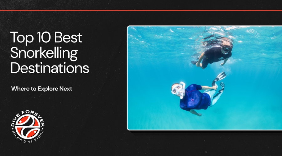 Best Scuba Diving Masks for 2026 | Comfort, Fit & Visibility | Mike's ...