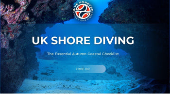 UK Shore Diving: The Essential Autumn Coastal Checklist