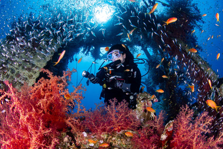 Best 5-Star Rated Scuba Gear for Safe and Exceptional Diving