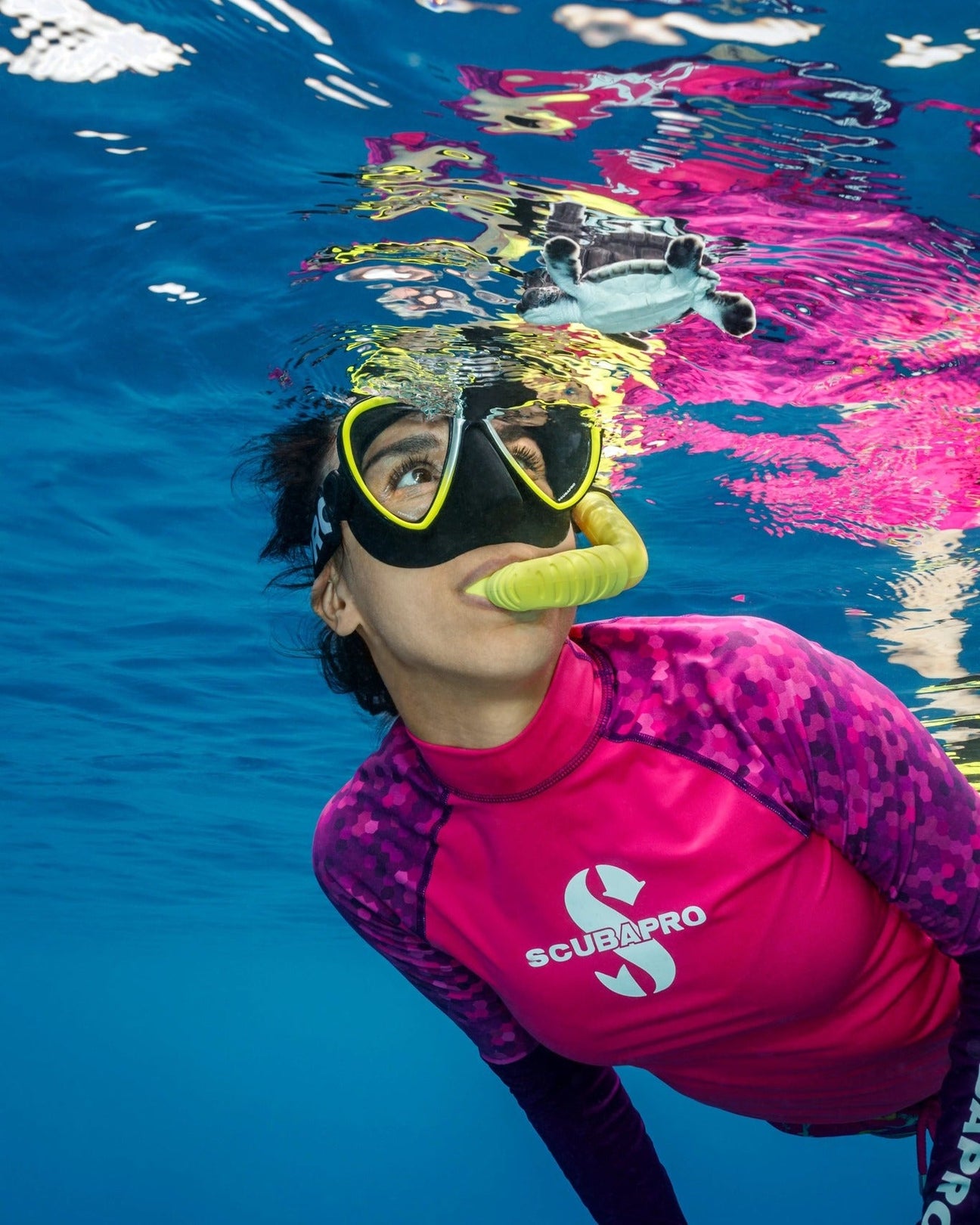 Best Selling Snorkelling & Freediving Masks, Fins & Snorkels