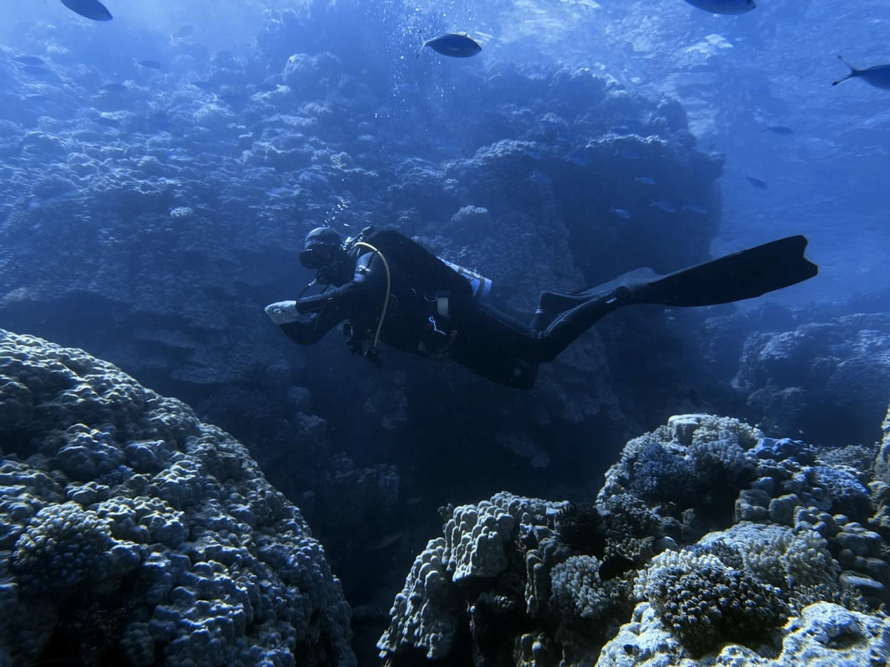 Suunto Dive Equipment