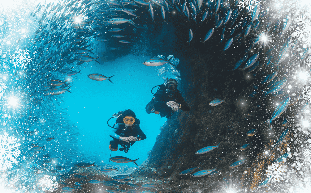 Gift Ideas For Scuba Divers