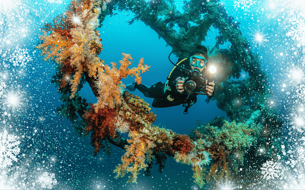 Gift Ideas for Underwater Photographers