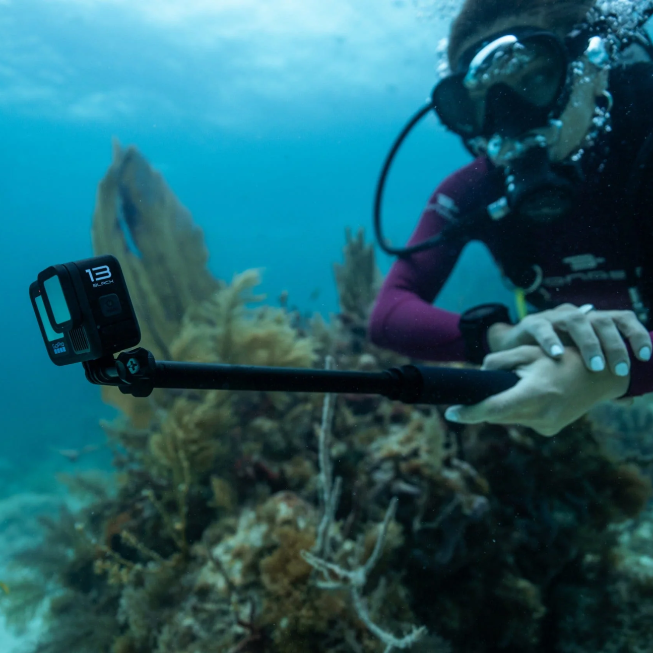 Underwater Cameras – Mikes Dive Store