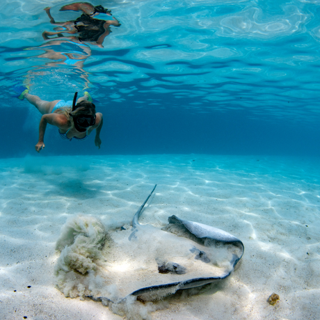 Intermediate Snorkel Sets