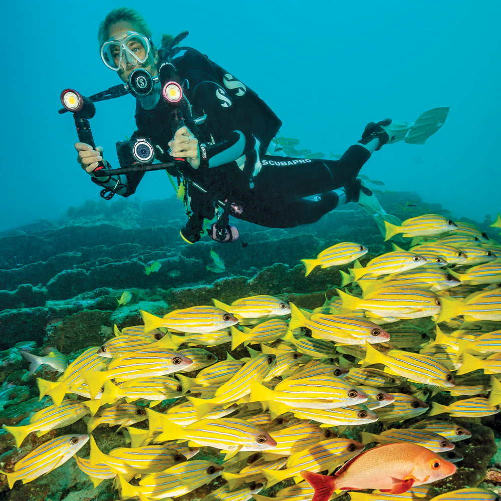 Camera & Lighting Kits