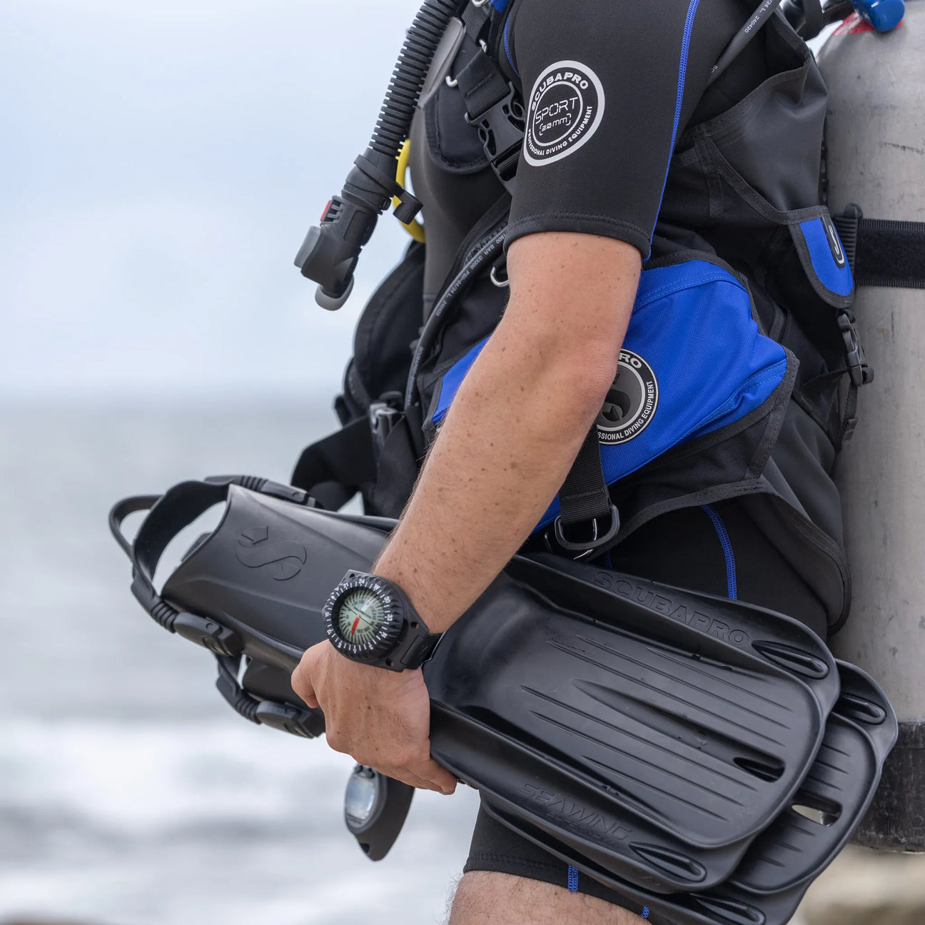 Gauges & Compasses