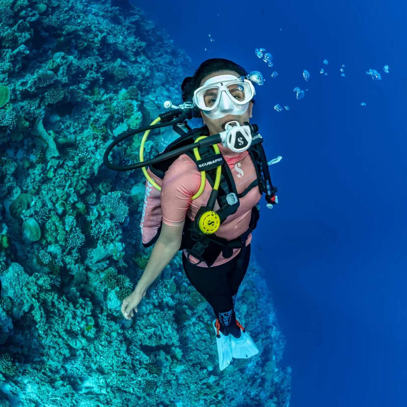 Entry Level Scuba Packages