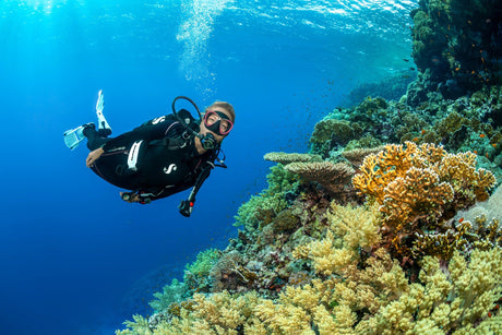 BCD & Regulator Dive Equipment Packages