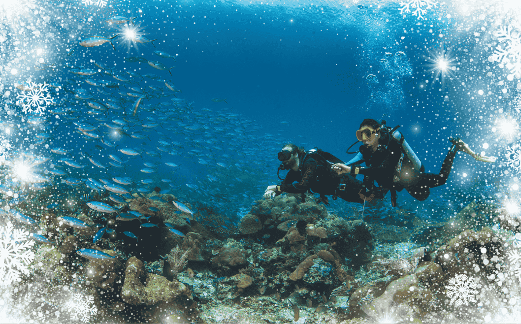 Staff Picks for Christmas