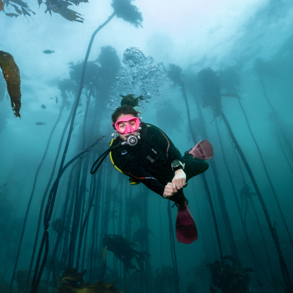 Technical Diving – Mikes Dive Store