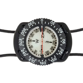 Compass with Bungee Mount