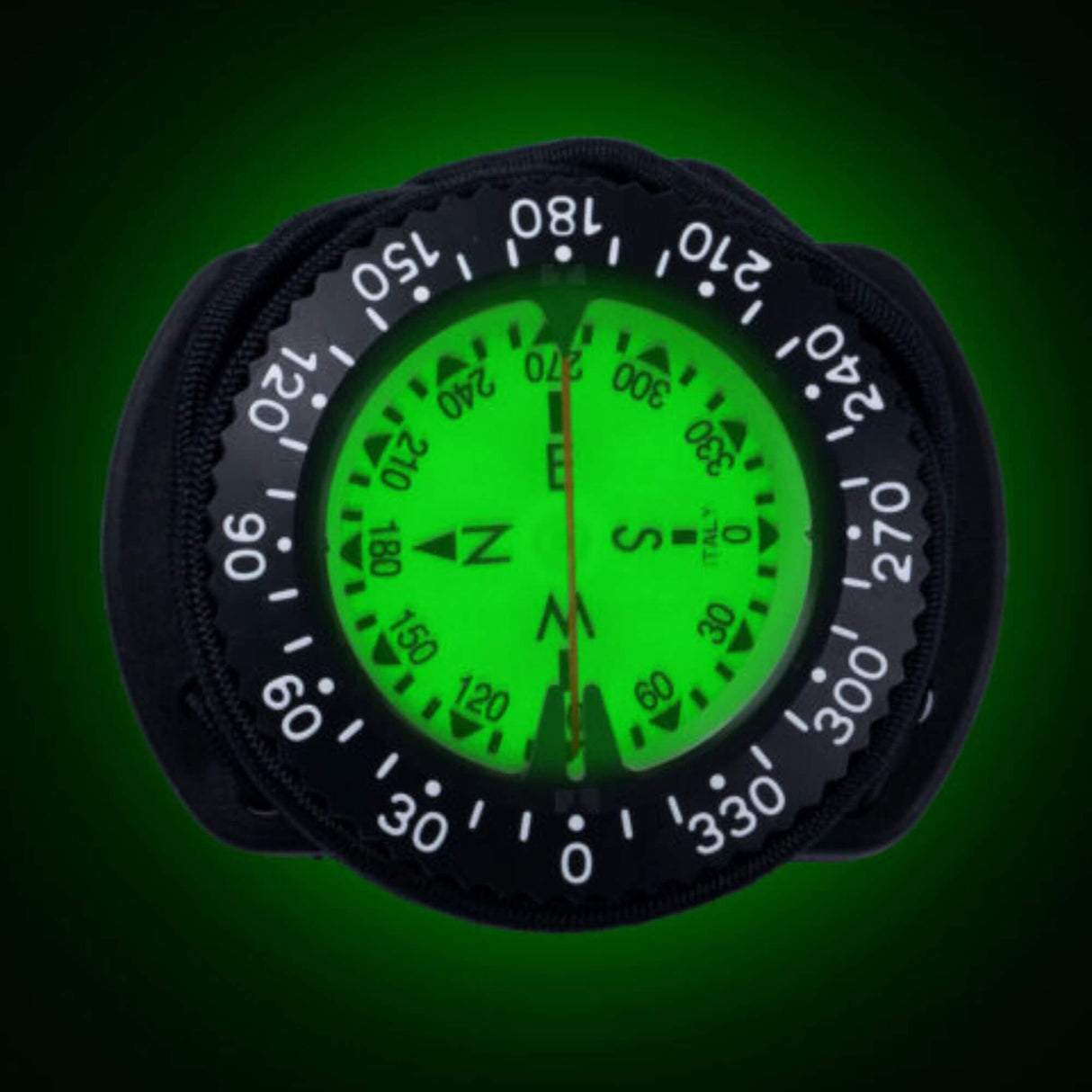 Compass with Bungee Mount