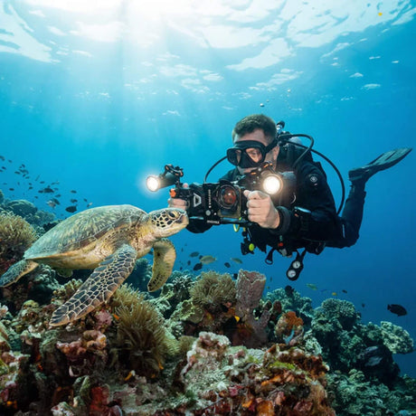 DiveVolk New Dual Handle Tray - Black