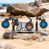 DiveVolk New Dual Handle Tray - Platinum