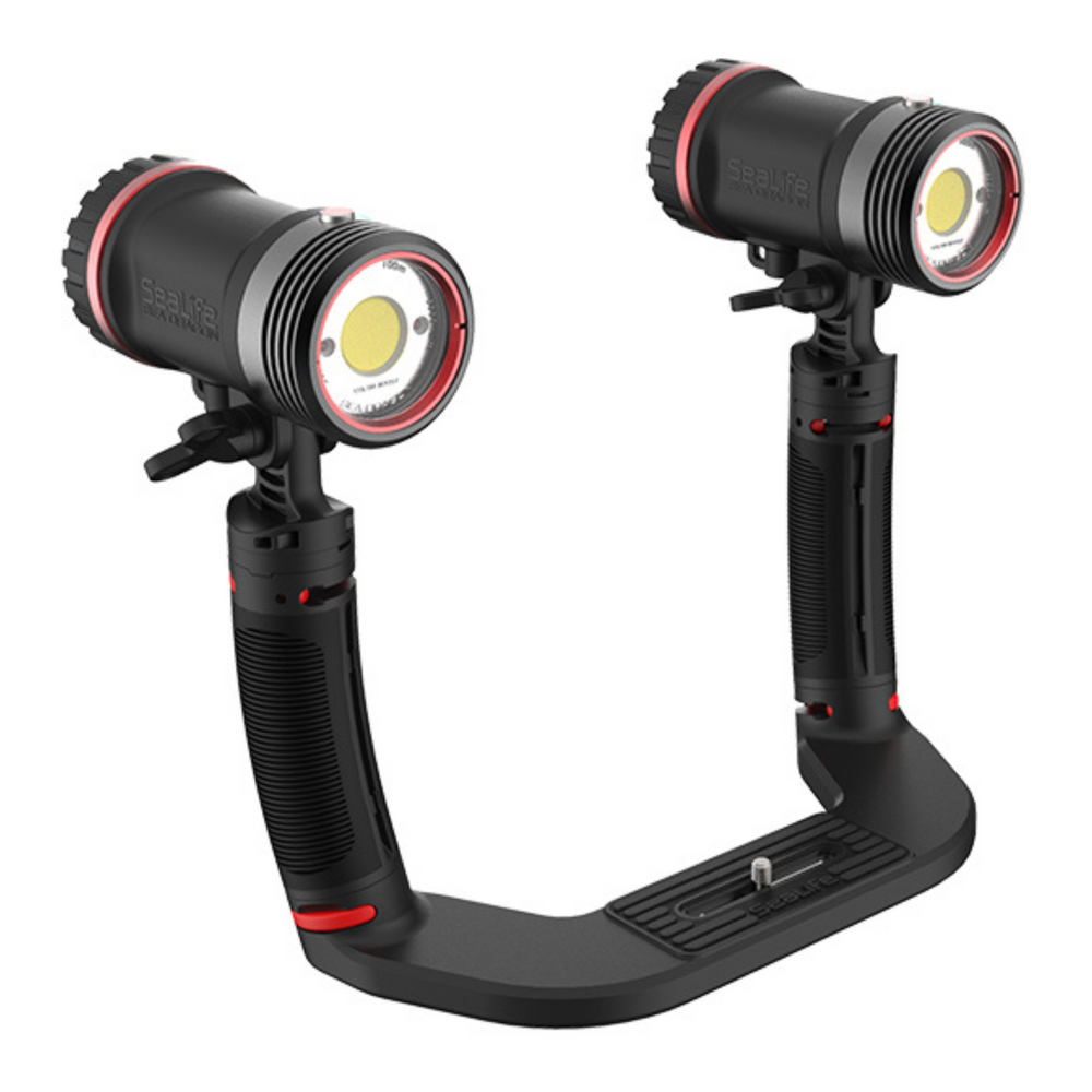 Sealife Sea Dragon Duo Colour Boost Set