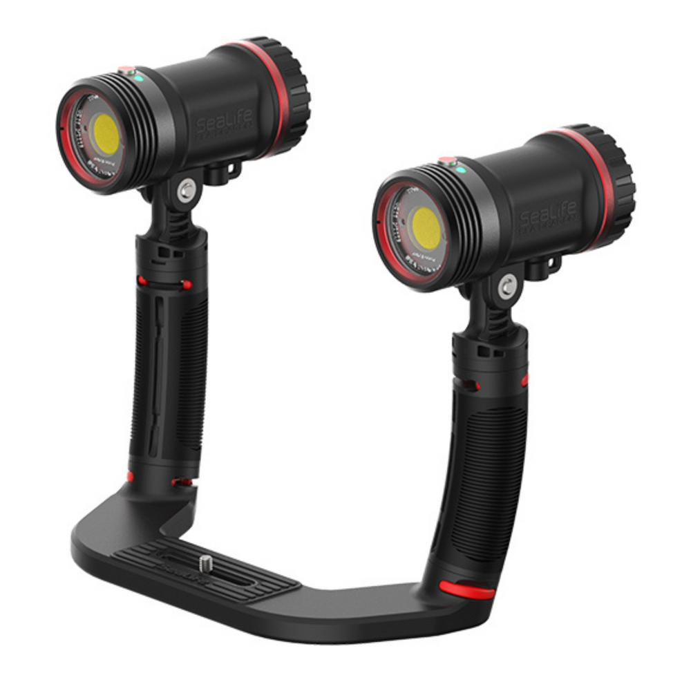 Sealife Sea Dragon Duo Colour Boost Set