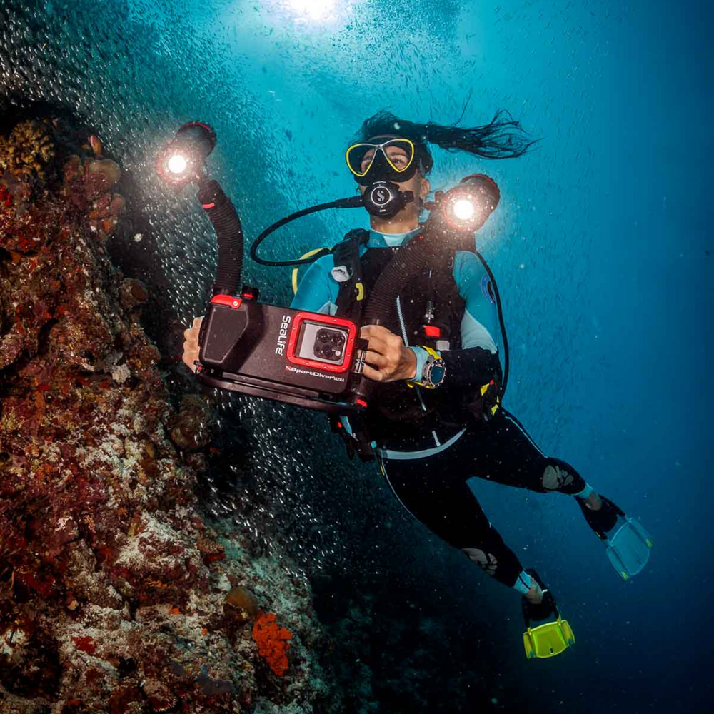 Sealife Sea Dragon Duo Colour Boost Set