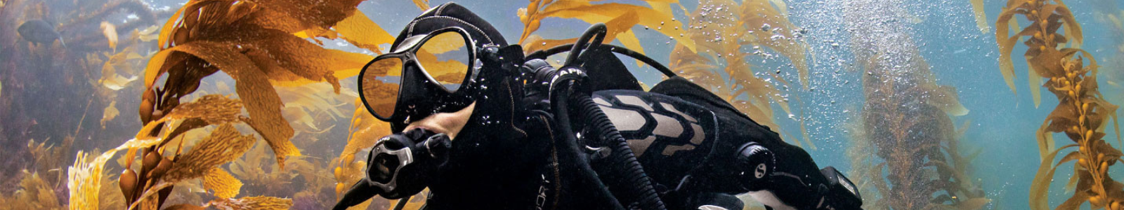 Scubapro Dive Equipment