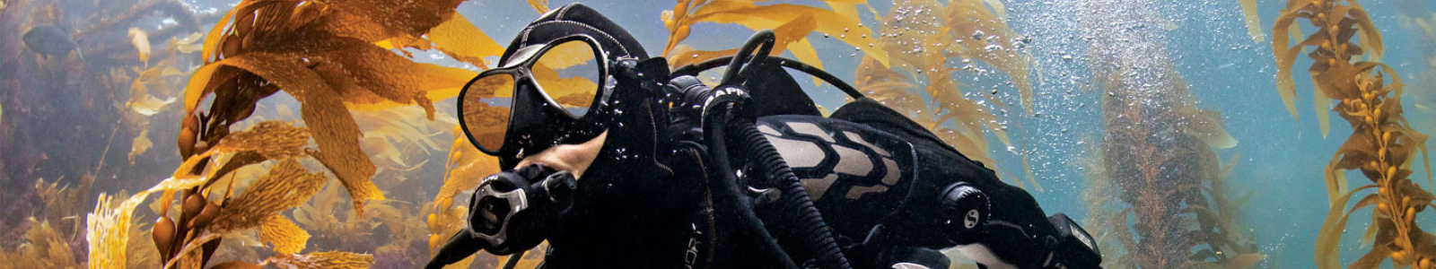 Scubapro Diving Gloves